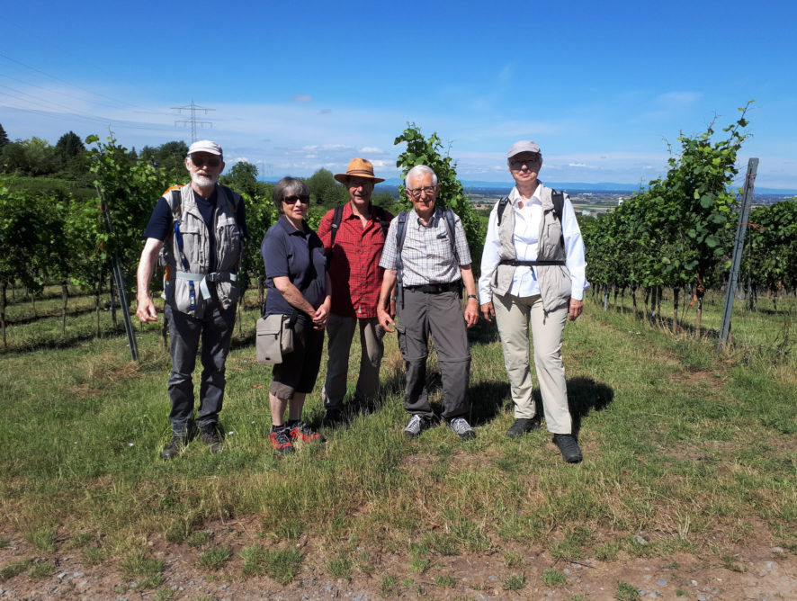 Wanderung mit dem TV Germania am Tag der STADTNATUR