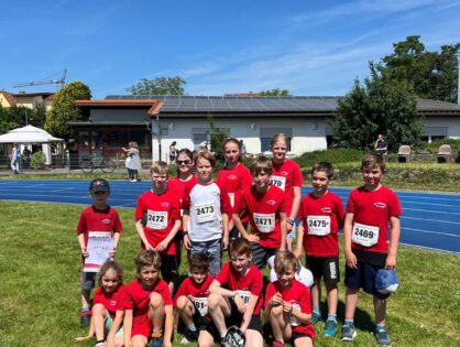 Frühlingslauf St.Leon-Rot 2024