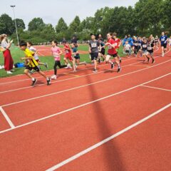Sommerlauf Edingen